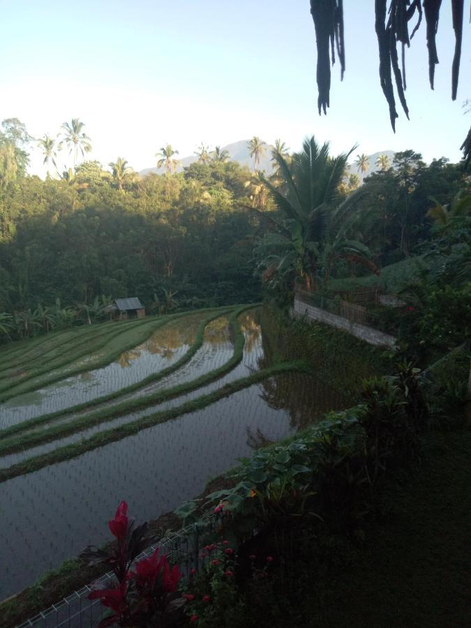 Babahan Farmstay Selemadeg Dış mekan fotoğraf
