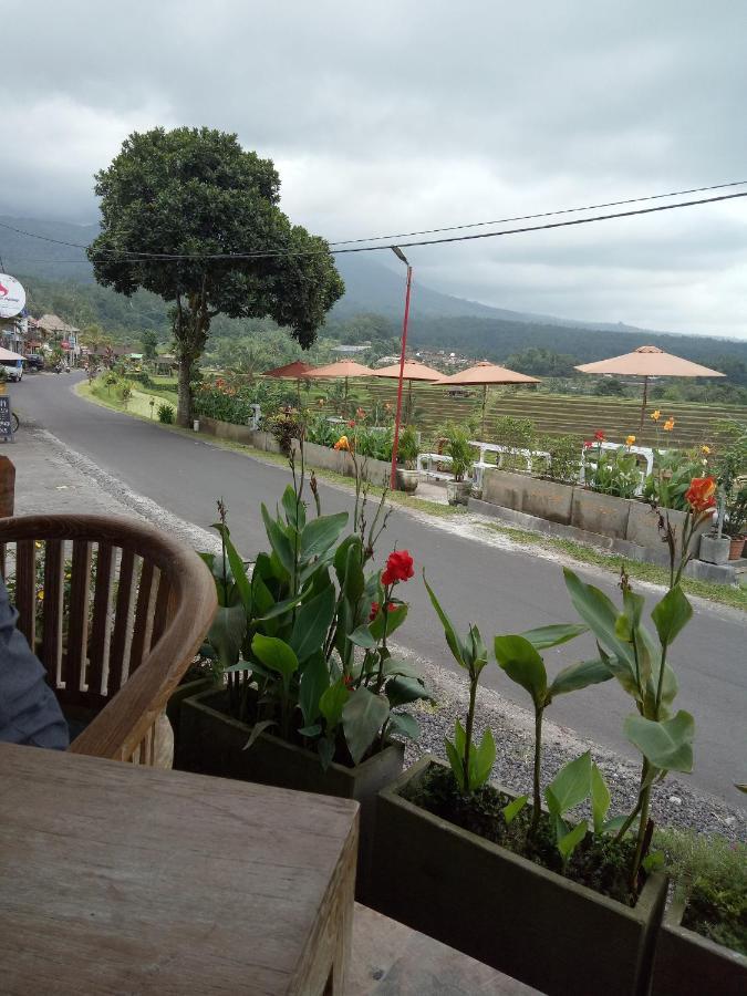Babahan Farmstay Selemadeg Dış mekan fotoğraf