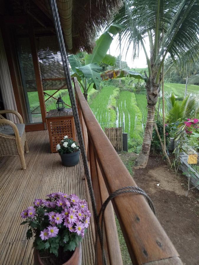 Babahan Farmstay Selemadeg Dış mekan fotoğraf