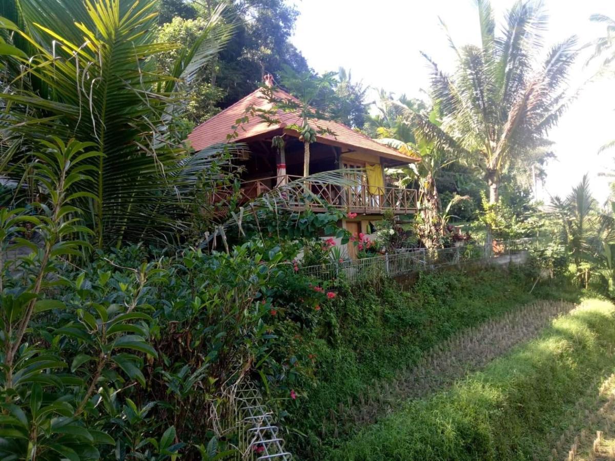 Babahan Farmstay Selemadeg Dış mekan fotoğraf
