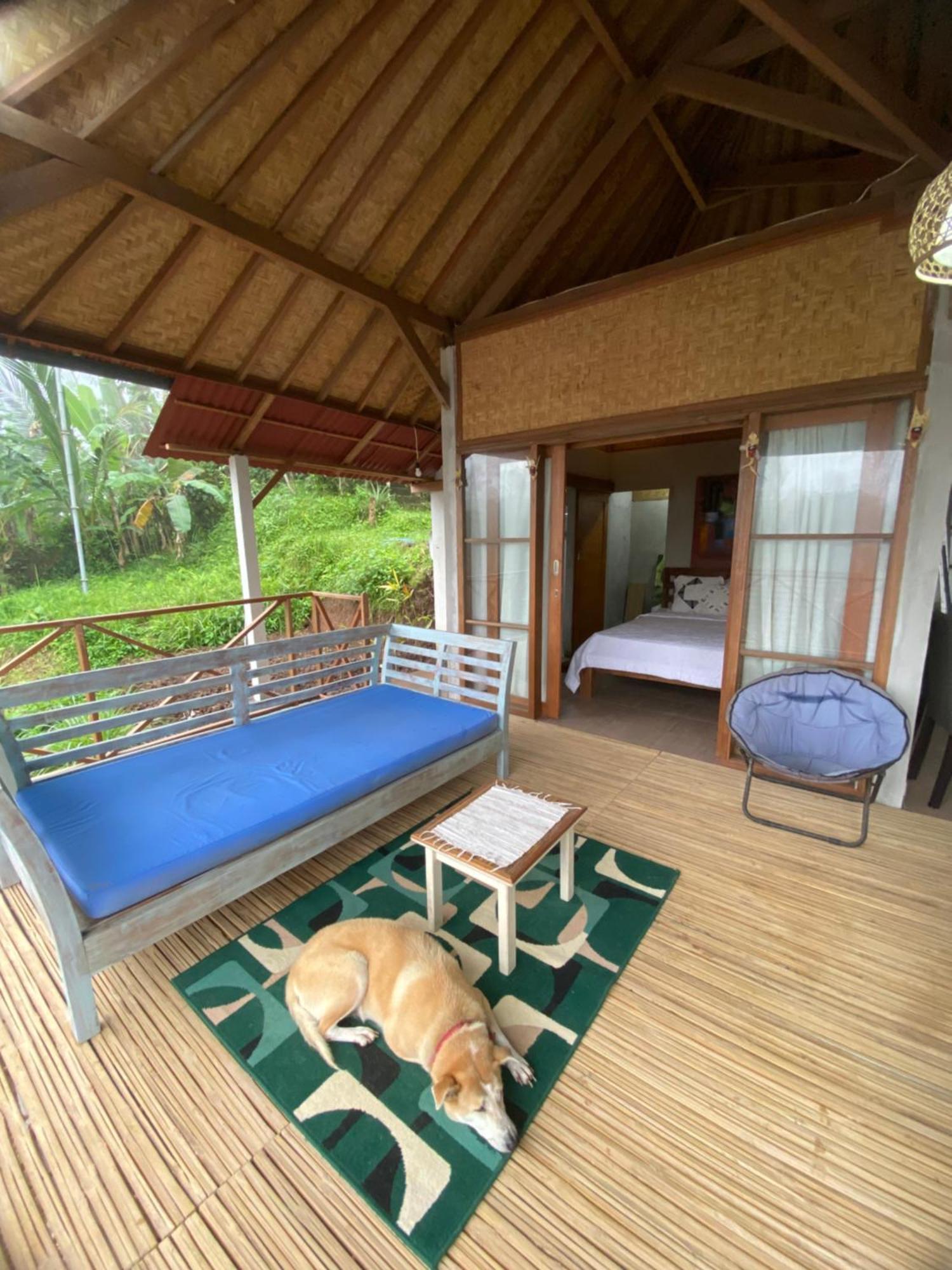 Babahan Farmstay Selemadeg Dış mekan fotoğraf